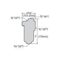 401494 MAIN WATER VENT 3/4/4" 250 PSI